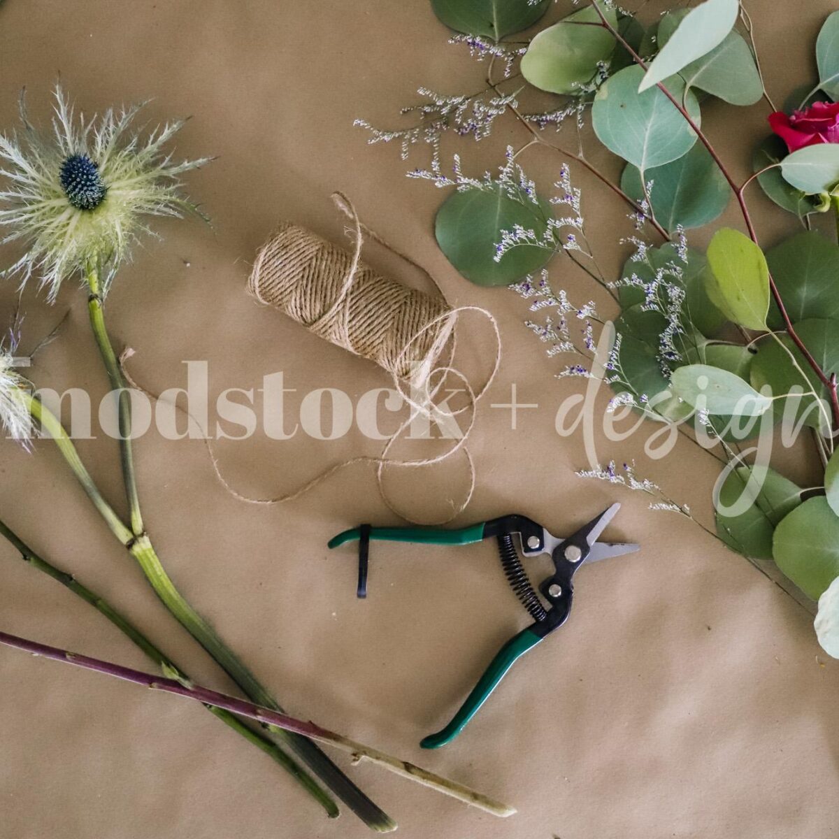 Modstock Fresh Cut Flowers 04