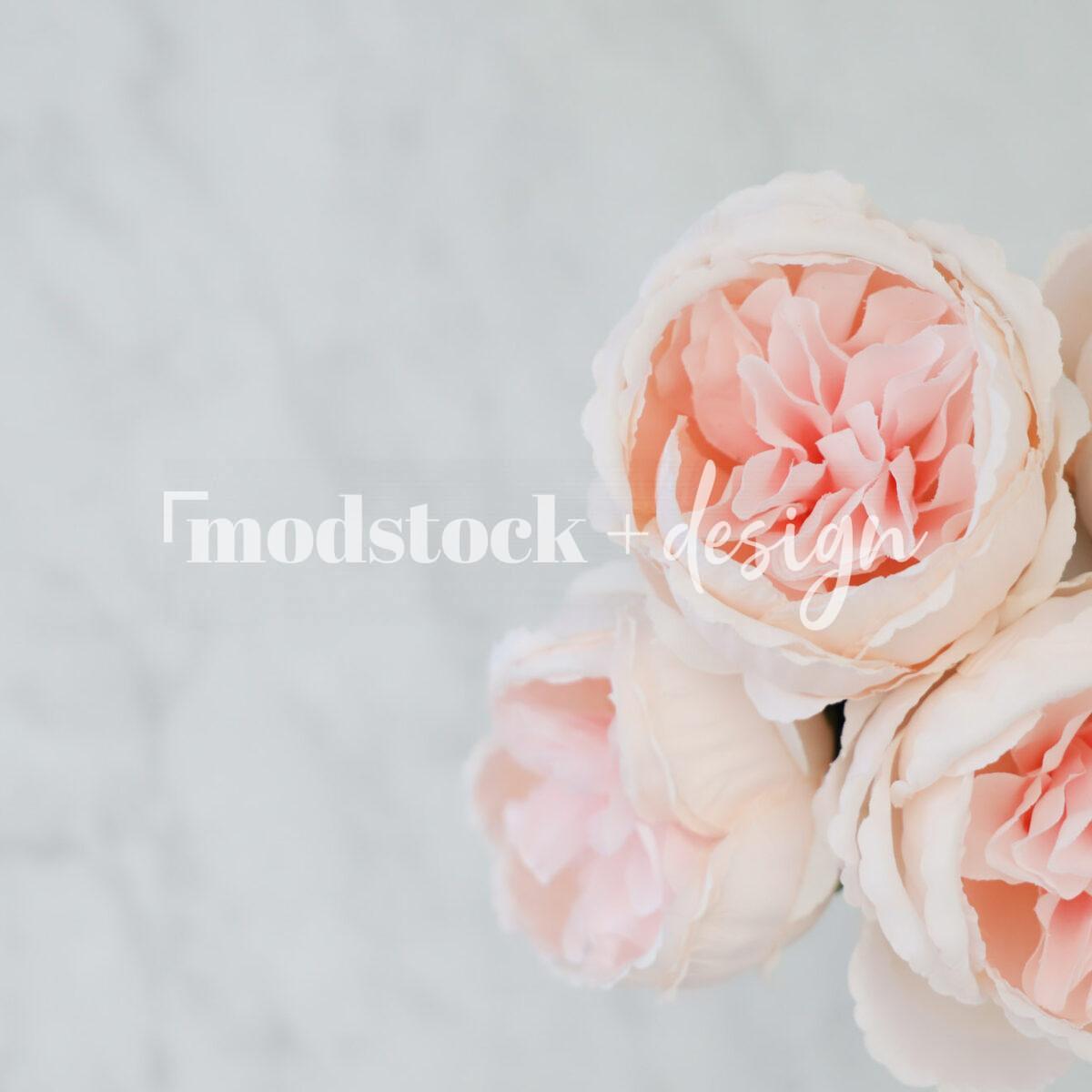 All About Peonies 26