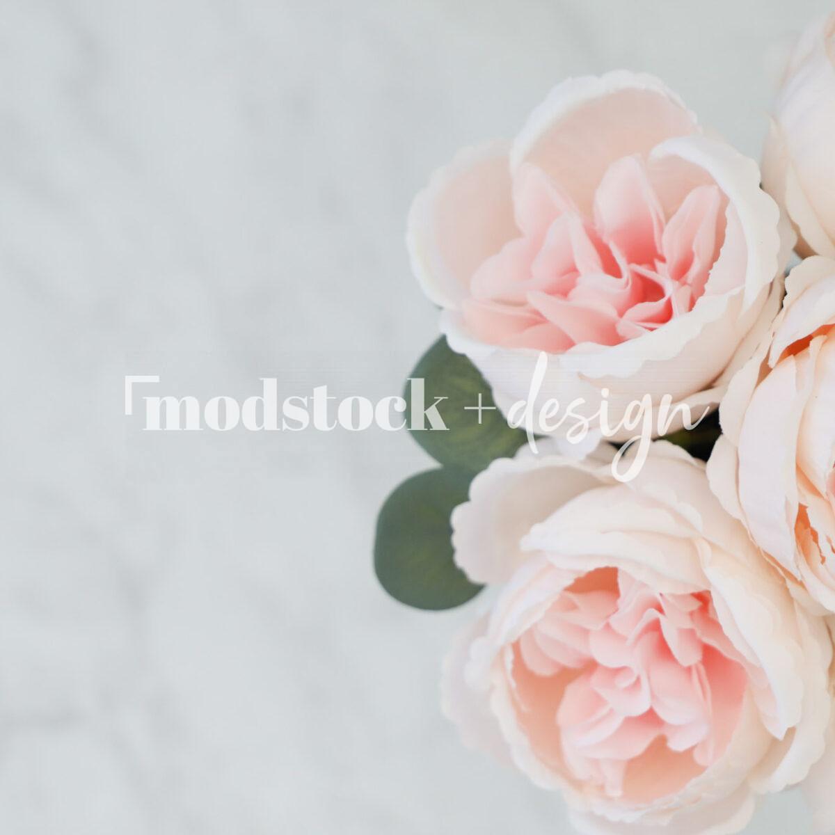 All About Peonies 27