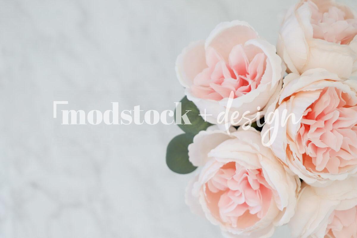 All About Peonies 27