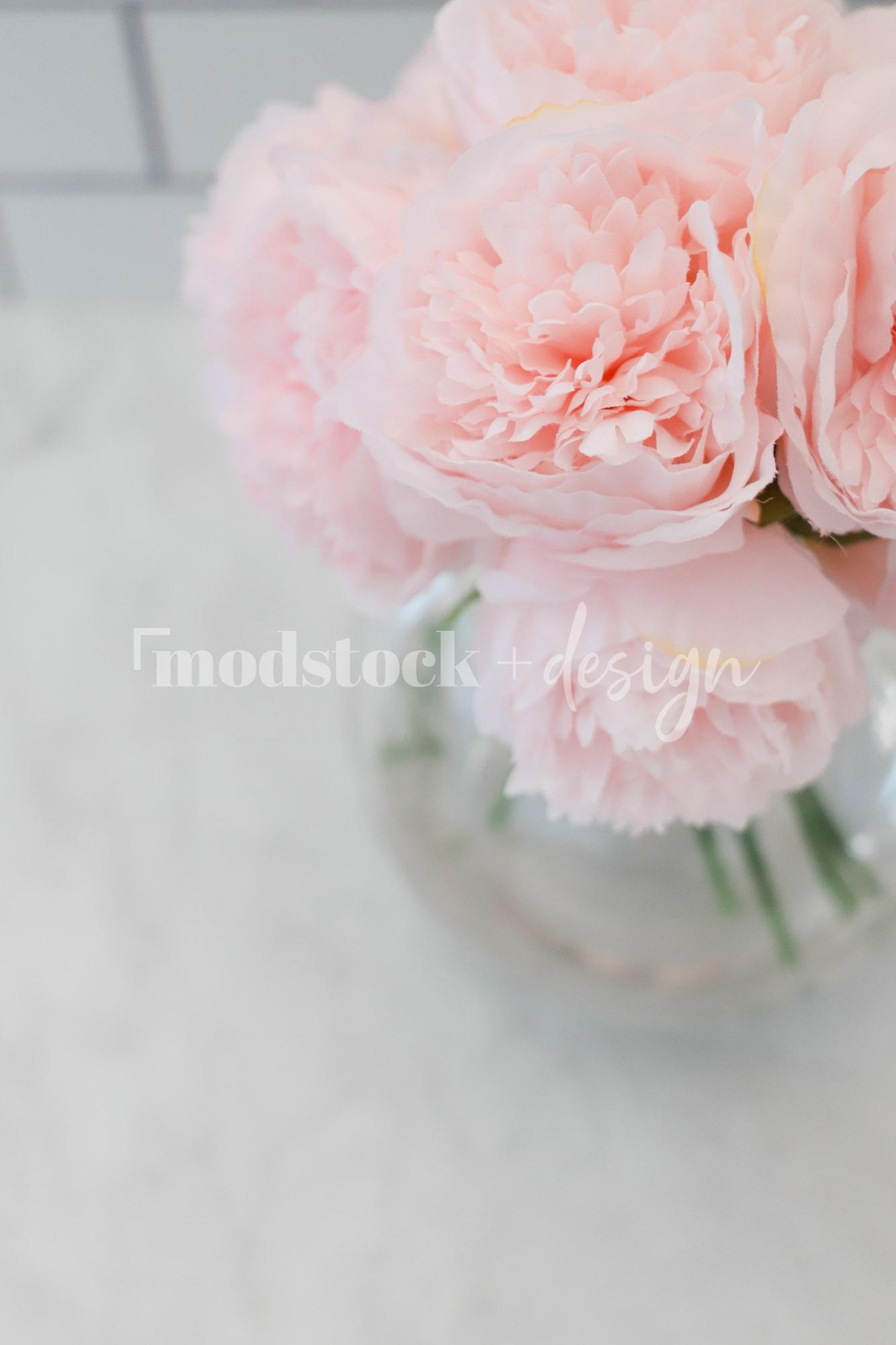 All About Peonies 29