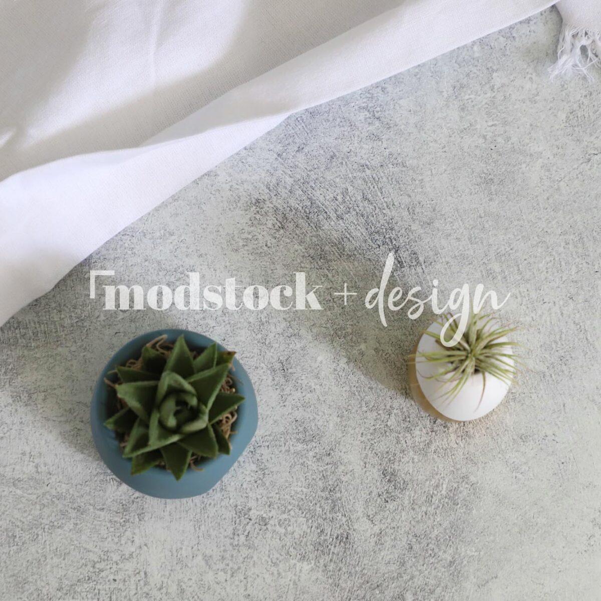 All About Succulents 15