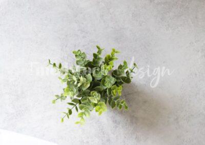 All About Succulents 28