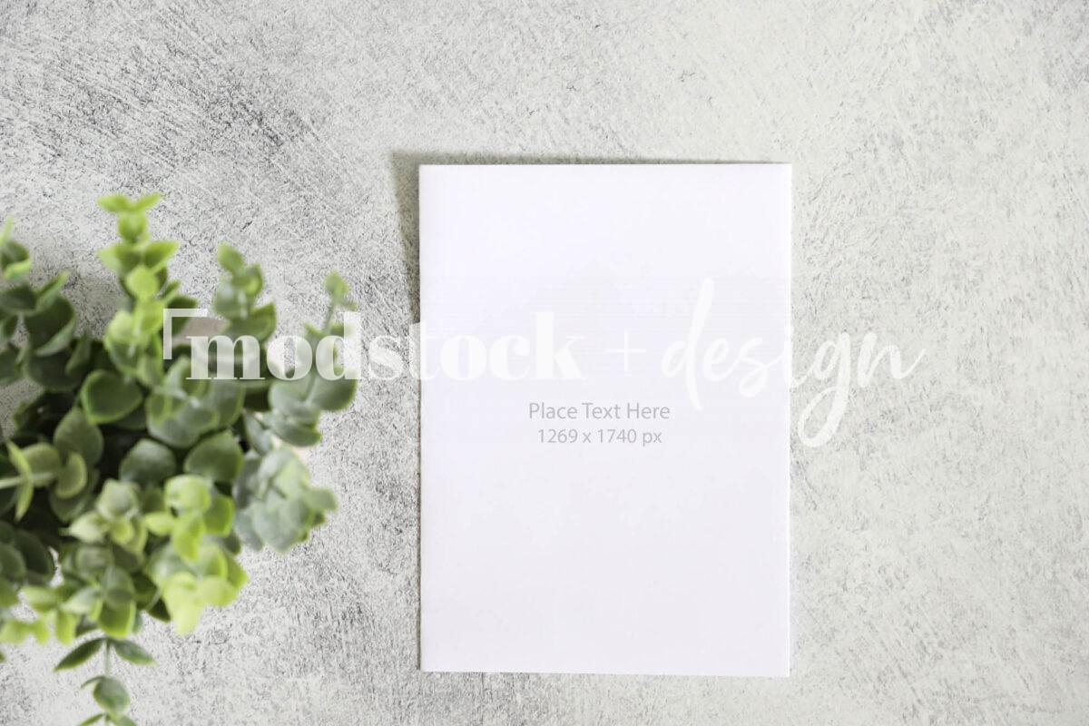 All About Succulents Mockup 18