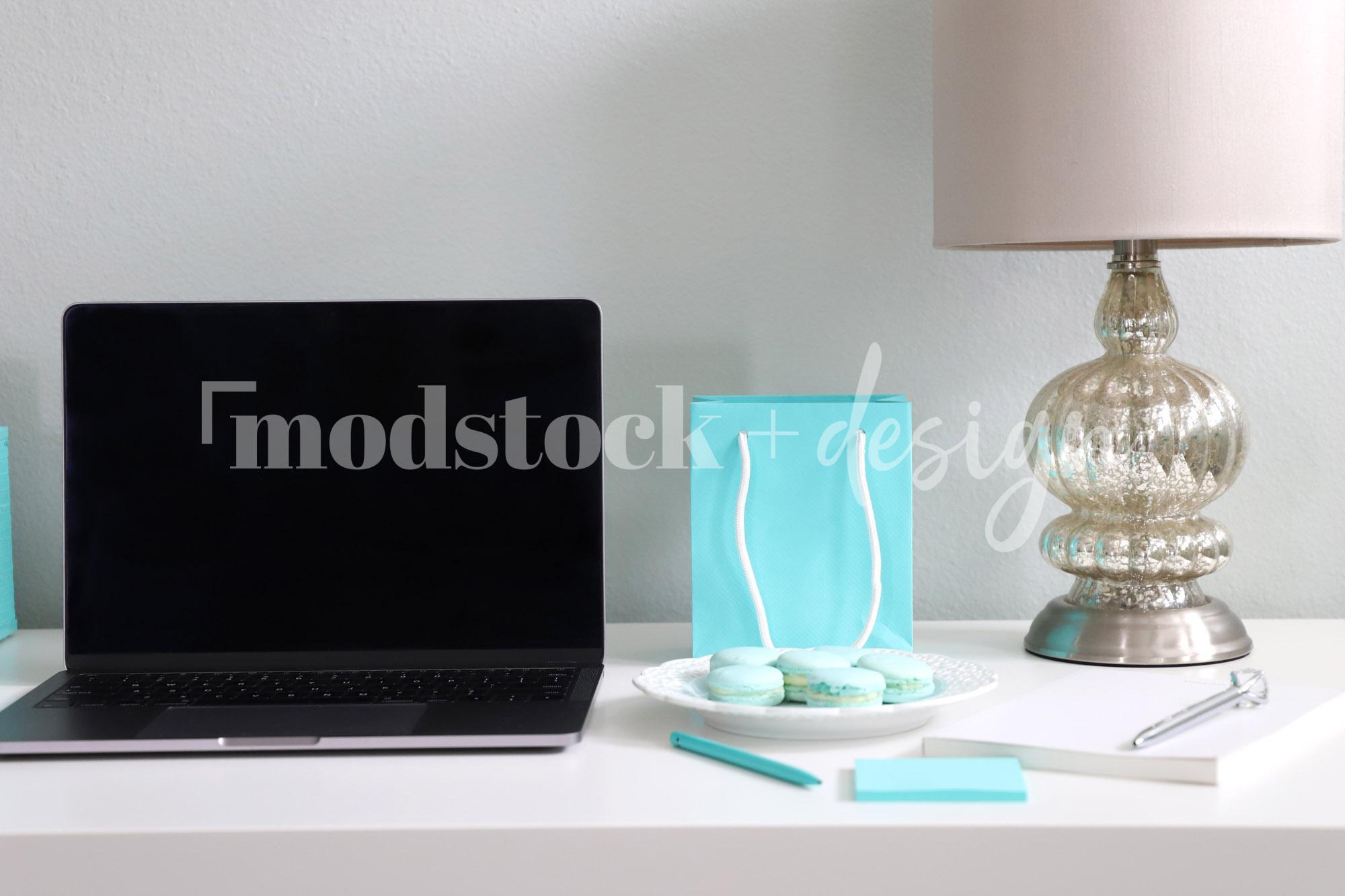 Modstock Luxe Teal Workspace - Silver 24