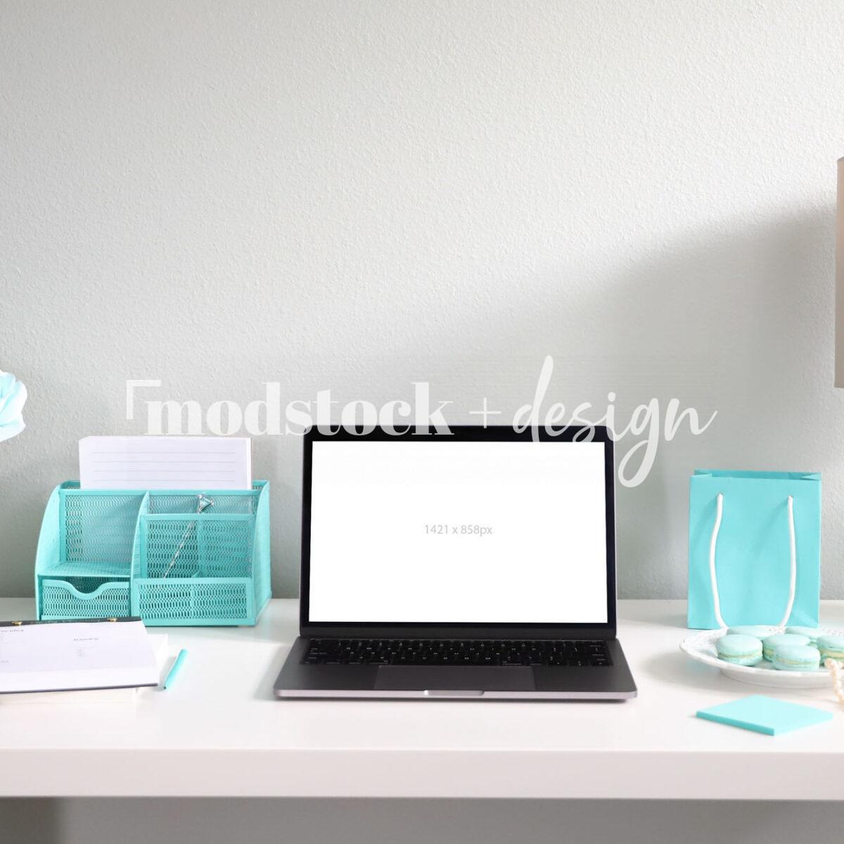 Luxe Teal Mockup - Silver 06