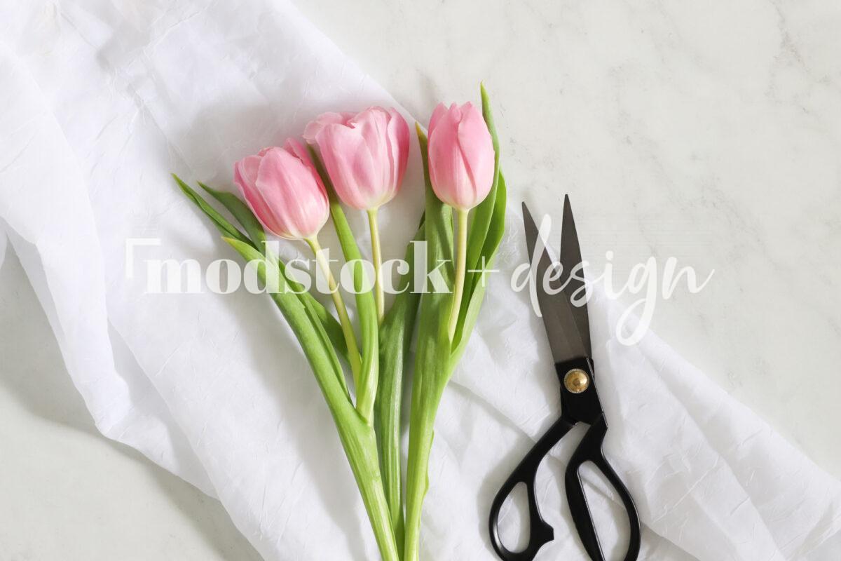 Fresh Tulips 33
