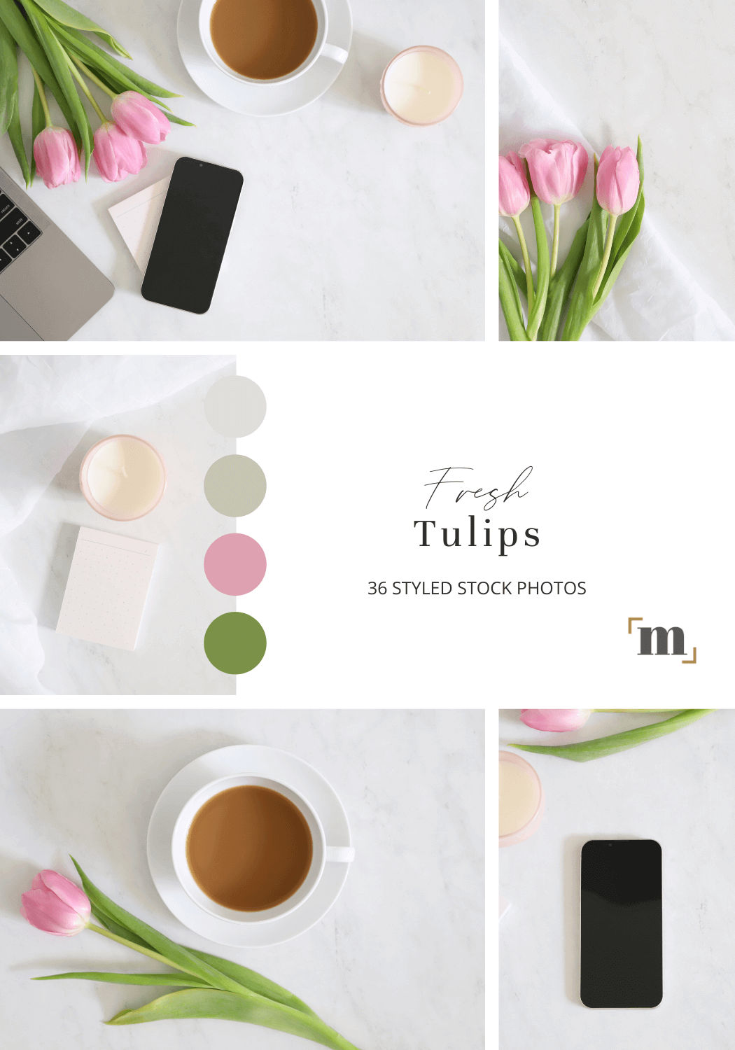 Fresh Tulips Highlight